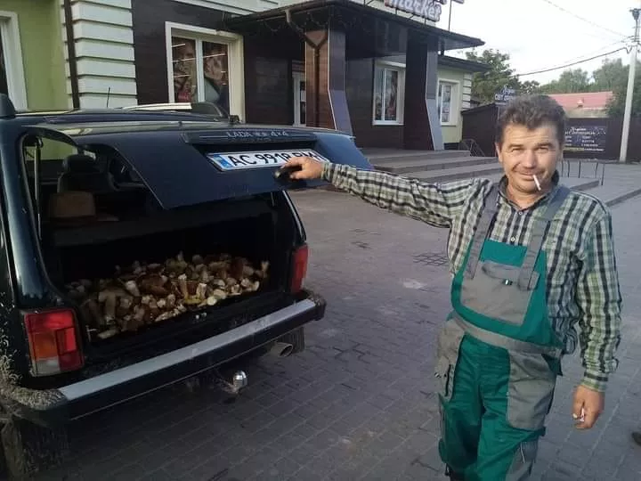 Сезон у розпалі: як збирають гриби у Володимир-Волинському та Любомльському районах 16