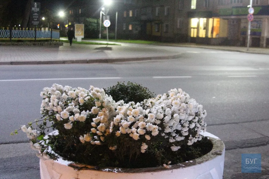 Жовтневий вечір у Володимирі-Волинському 23