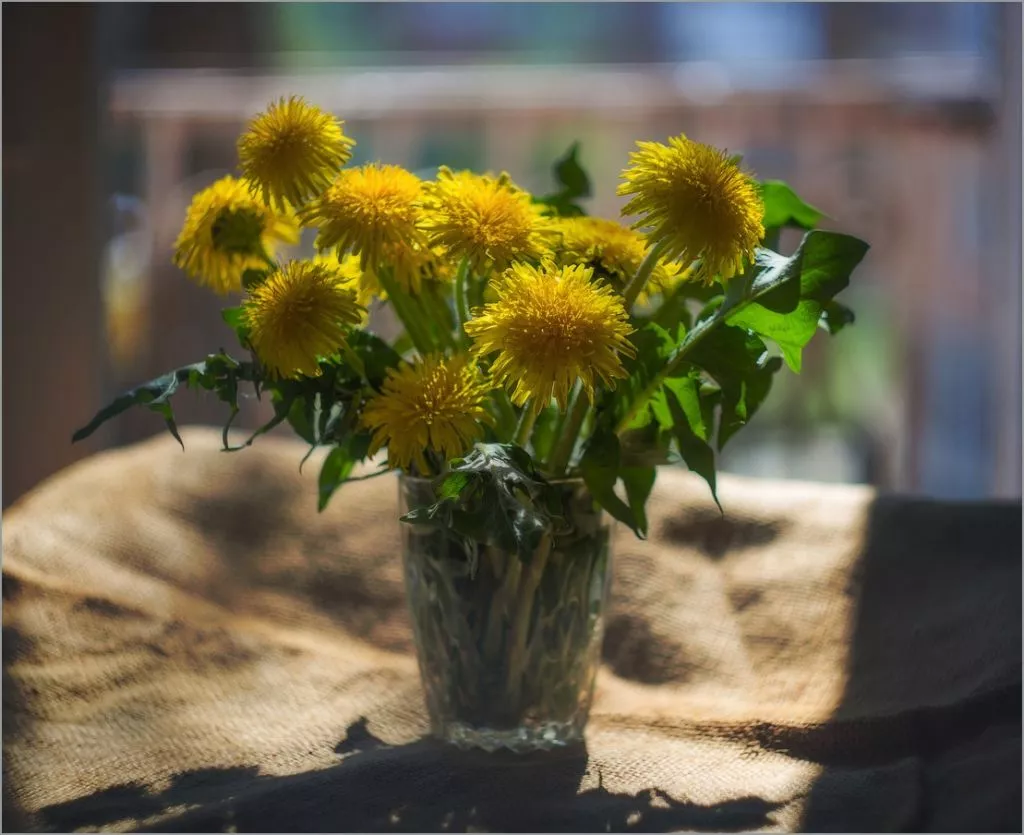 Нововолинець Андрій Бурда увійшов до списку найкращих фотографів на міжнародному конкурсі 32