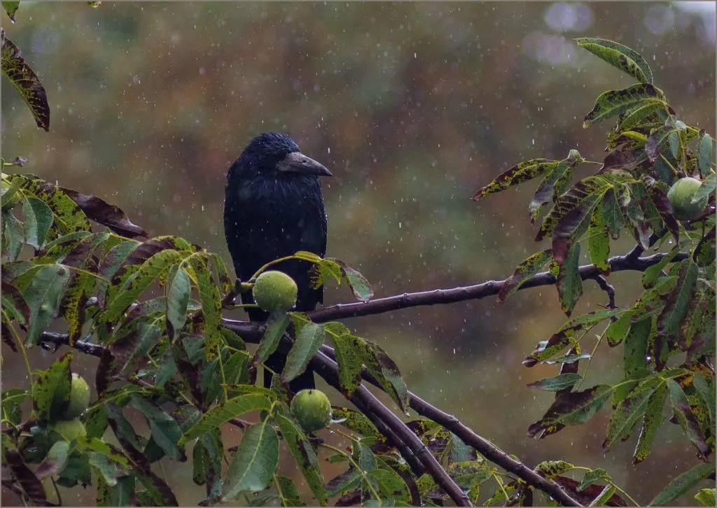 Нововолинець Андрій Бурда увійшов до списку найкращих фотографів на міжнародному конкурсі 3