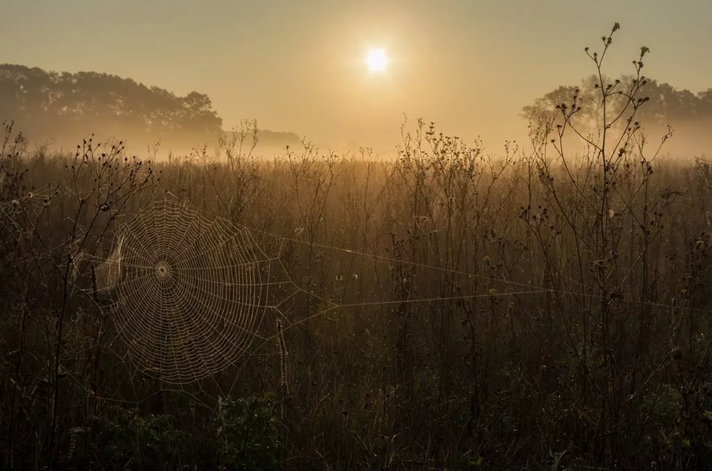 Нововолинець Андрій Бурда увійшов до списку найкращих фотографів на міжнародному конкурсі 18