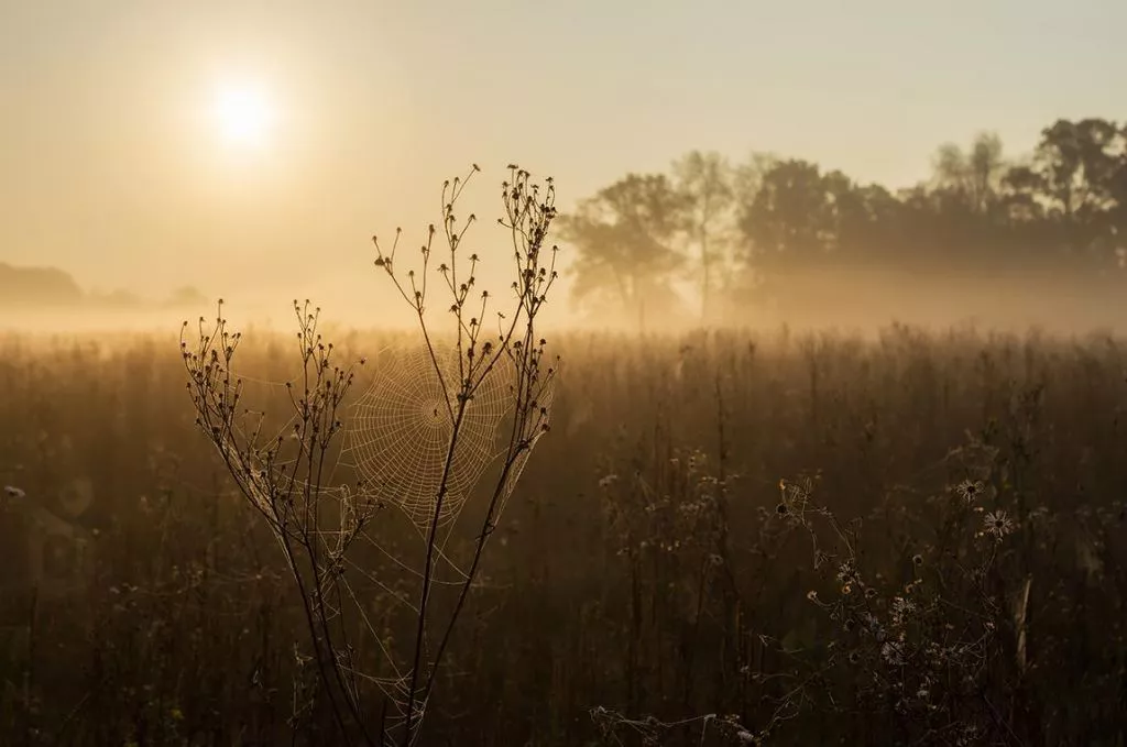 Нововолинець Андрій Бурда увійшов до списку найкращих фотографів на міжнародному конкурсі 11