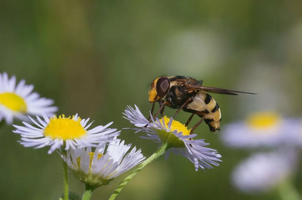 Нововолинець Андрій Бурда увійшов до списку найкращих фотографів на міжнародному конкурсі 6