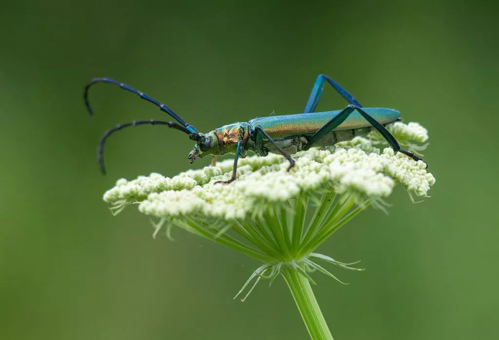 Нововолинець Андрій Бурда увійшов до списку найкращих фотографів на міжнародному конкурсі 8