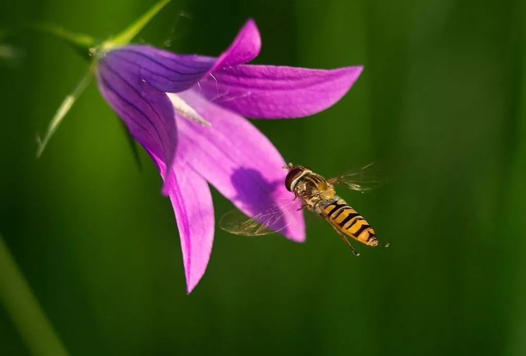 Нововолинець Андрій Бурда увійшов до списку найкращих фотографів на міжнародному конкурсі 13