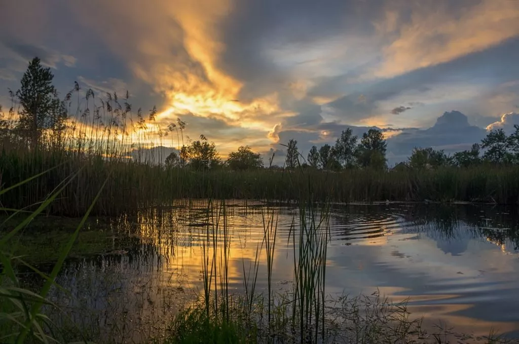 Нововолинець Андрій Бурда увійшов до списку найкращих фотографів на міжнародному конкурсі 21