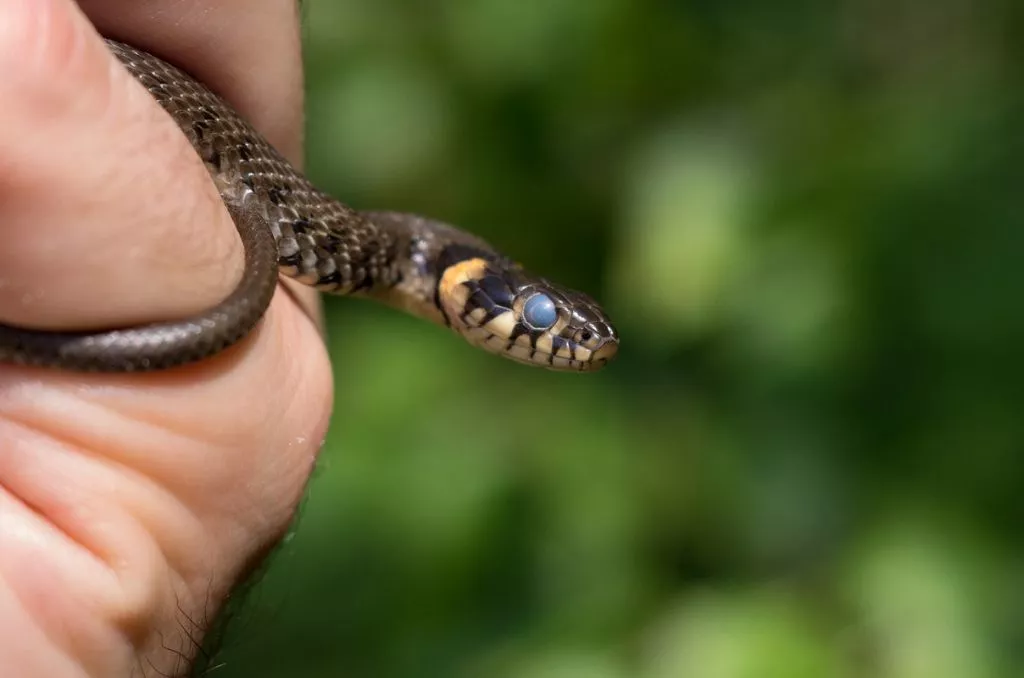 Нововолинець Андрій Бурда увійшов до списку найкращих фотографів на міжнародному конкурсі 20