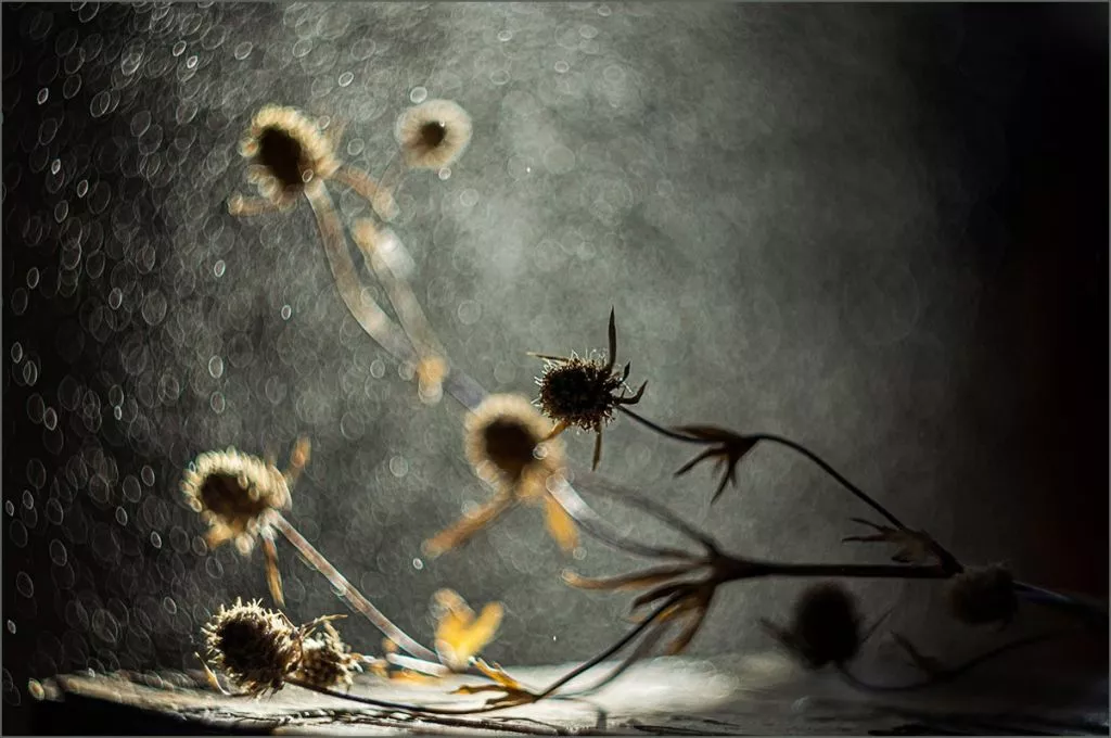 Нововолинець Андрій Бурда увійшов до списку найкращих фотографів на міжнародному конкурсі 25