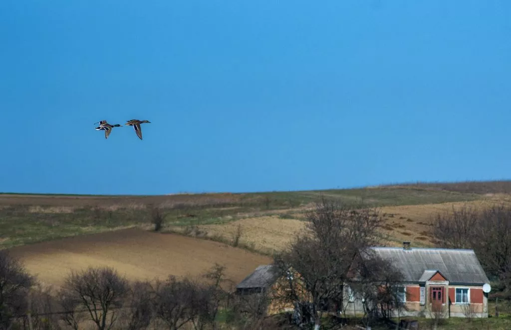 Нововолинець Андрій Бурда увійшов до списку найкращих фотографів на міжнародному конкурсі 29