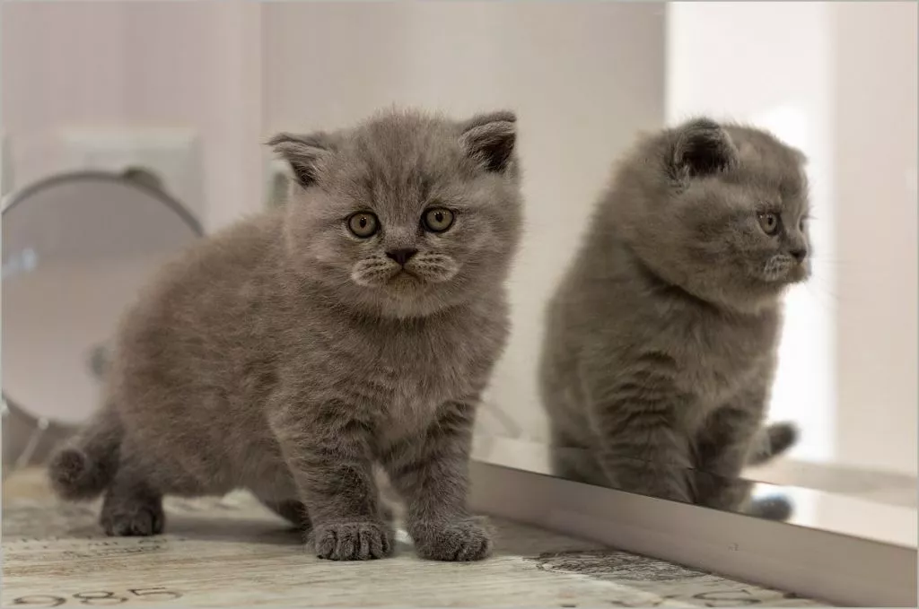 Нововолинець Андрій Бурда увійшов до списку найкращих фотографів на міжнародному конкурсі 30