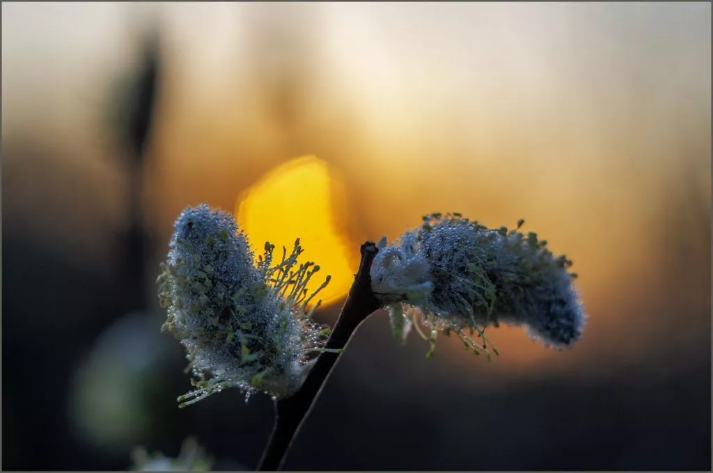 Нововолинець Андрій Бурда увійшов до списку найкращих фотографів на міжнародному конкурсі 31