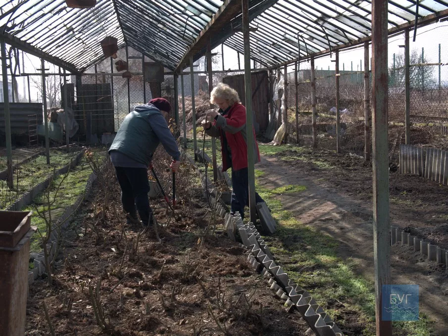Сезон цвітіння: КП «Троянда» готується до першої посадки квітів у Володимирі 34
