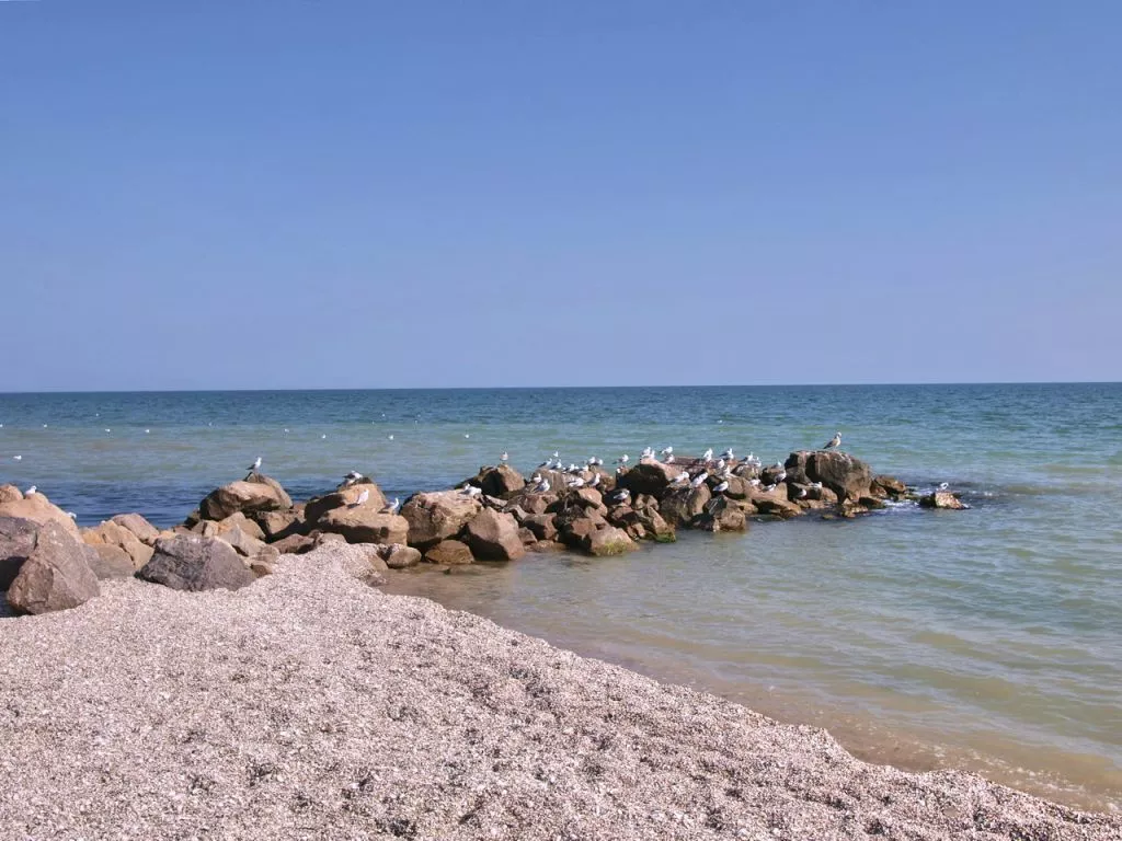 Курорти Чорного і Азовського морів: куди поїхати цього літа і які ціни 5