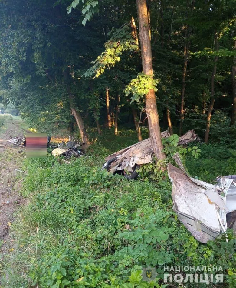 Автівку розірвало навпіл: на трасі між Володимиром та Луцьком трапилась смертельна аварія 2