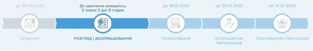 Святкові інсталяції, тренажери та різьблені скульптури: у Володимирі 12 громадських проєктів пройшли відбір 28