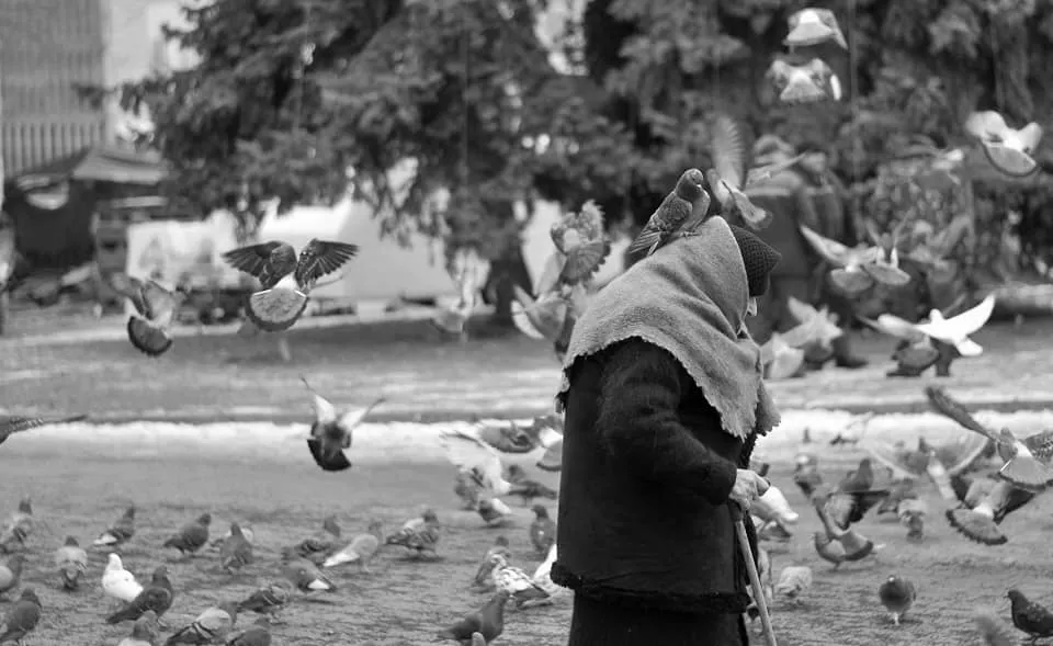 Померла схимонахиня, яка годувала голубів на Театральному майдані у Луцьку 2