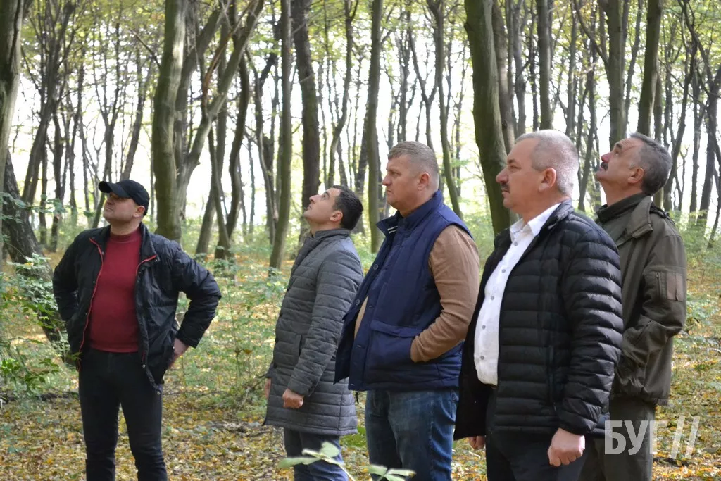 Повалені дерева у лісі Поромівської громади будуть віддавати соціально незахищеним мешканцям 5