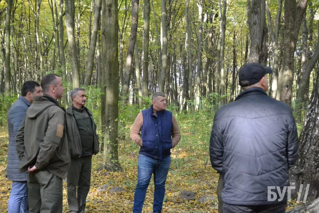 Повалені дерева у лісі Поромівської громади будуть віддавати соціально незахищеним мешканцям 3