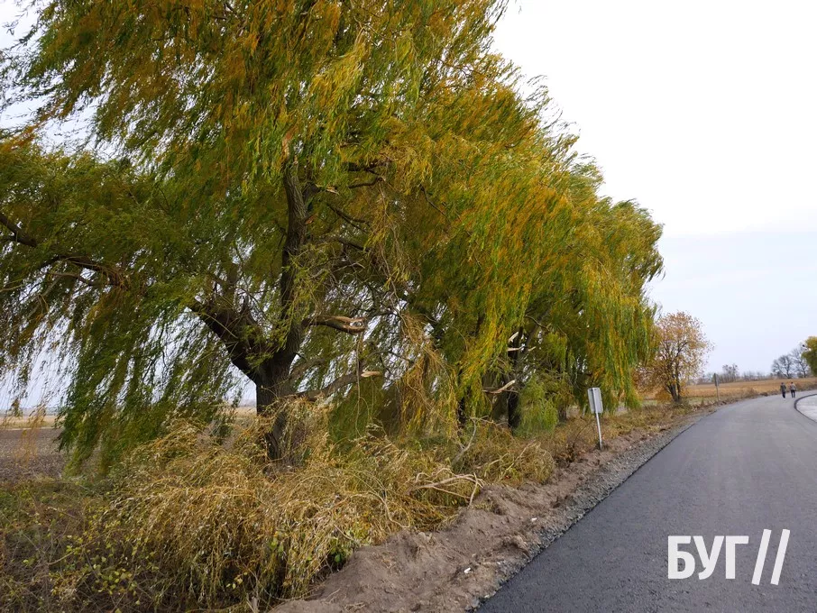 Продовжують ремонт дороги з вулиці Зимнівської у Володимирі у напрямку Павлівки 1