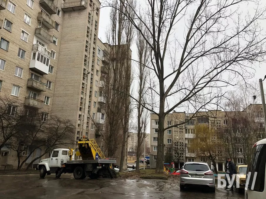 Повалене через негоду дерево пошкодило автівку у Нововолинську 4