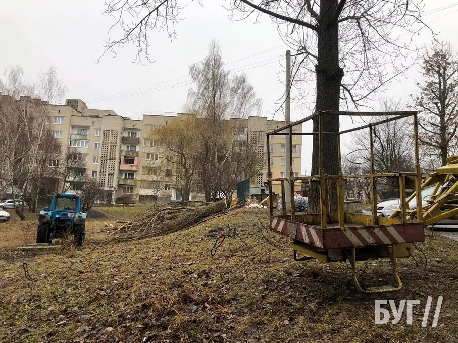 Повалене через негоду дерево пошкодило автівку у Нововолинську 5