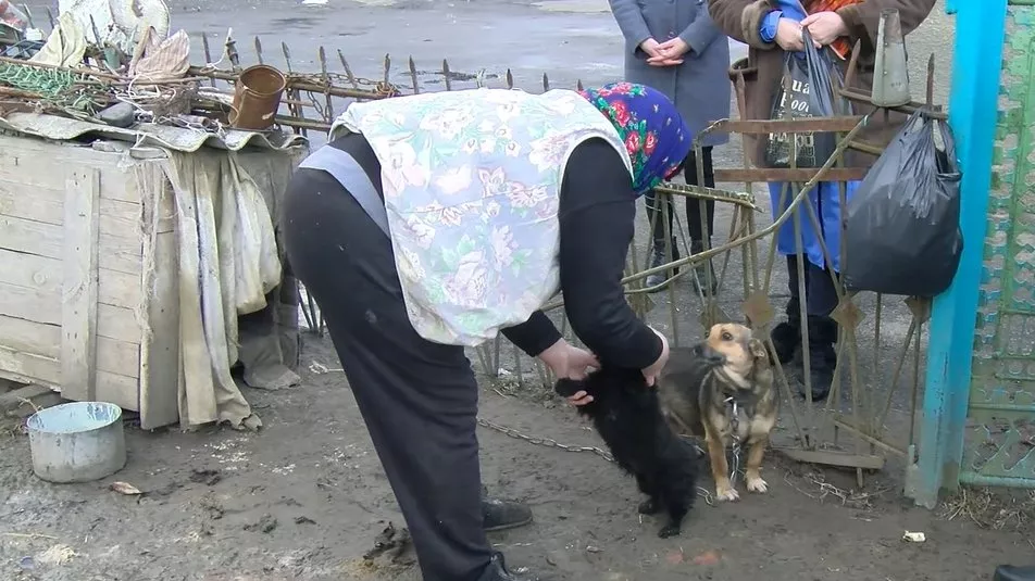 У селі П'ятидні Устилузької громади, де біля школи виявили скаженого пса, почали вакцинувати усіх тварин 5