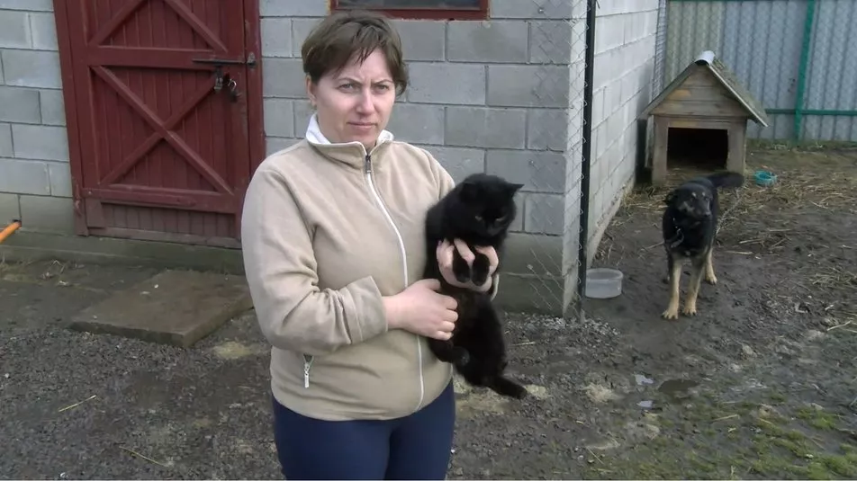 У селі П'ятидні Устилузької громади, де біля школи виявили скаженого пса, почали вакцинувати усіх тварин 4