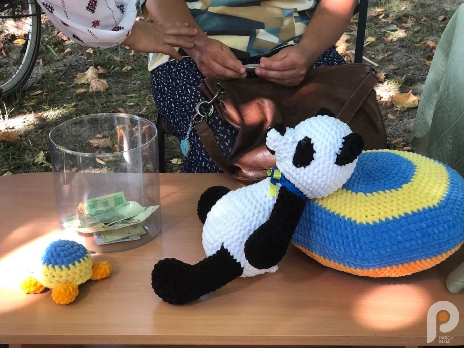 Під час благодійних заходів у Поромівській громаді зібрали понад 40 тисяч гривень на потреби ЗСУ 13