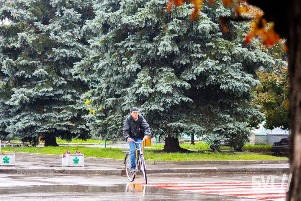 Справжня осінь завітала у місто: як живе Нововолинськ у дощову погоду 2