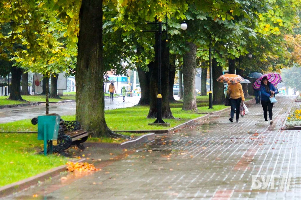 Справжня осінь завітала у місто: як живе Нововолинськ у дощову погоду 3