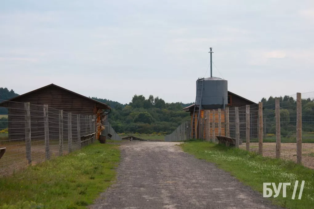 Що можуть побачити туристи в Прибужжі: екопарк «Аміла» - екскурсійні поїздки природою Турійського краю 16