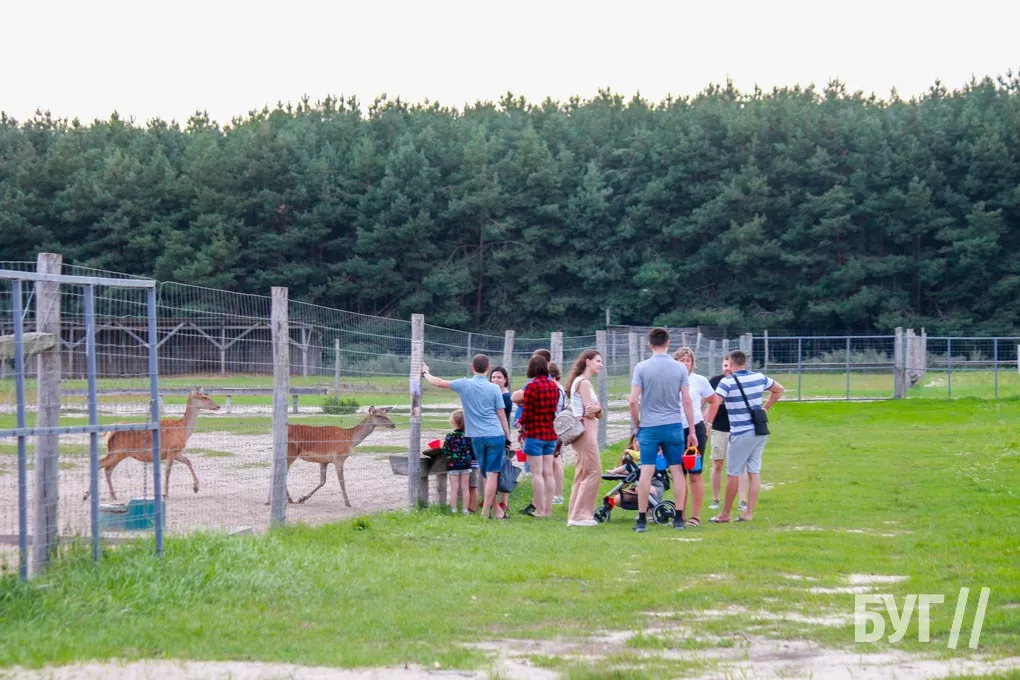 Що можуть побачити туристи в Прибужжі: екопарк «Аміла» - екскурсійні поїздки природою Турійського краю 15