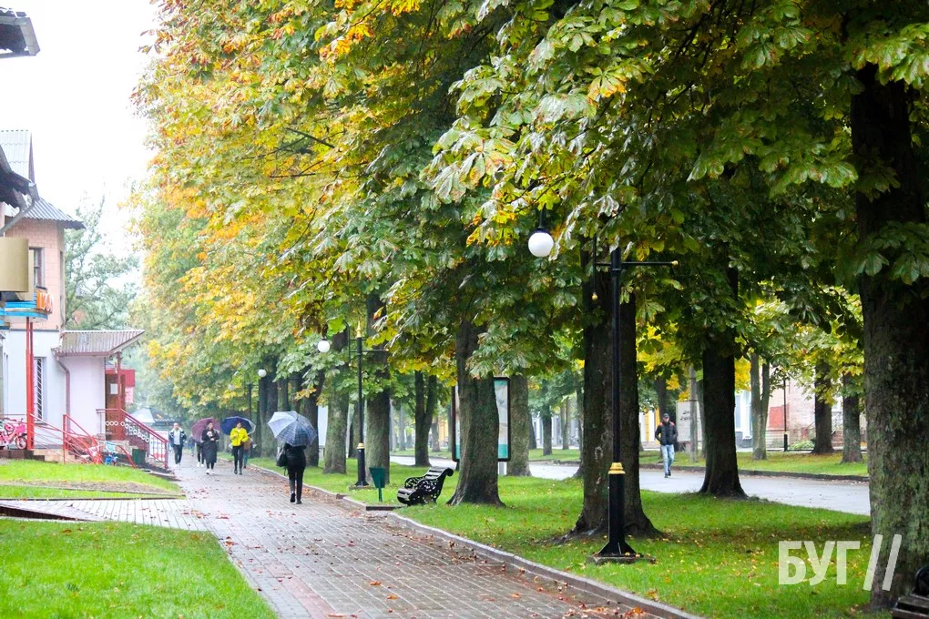 Справжня осінь завітала у місто: як живе Нововолинськ у дощову погоду 16
