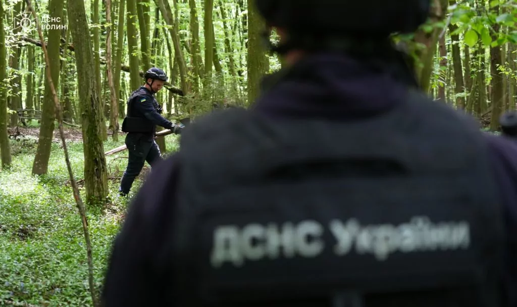 У Володимирському районі сапери розміновують територію лісу від вибухонебезпечних предметів 1