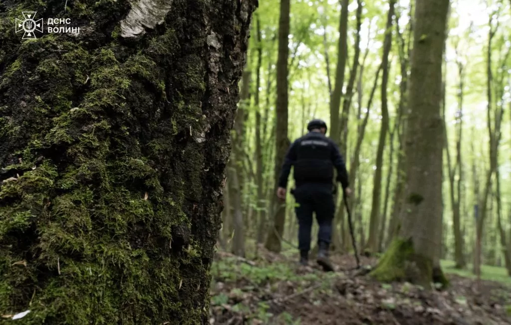 У Володимирському районі сапери розміновують територію лісу від вибухонебезпечних предметів 2