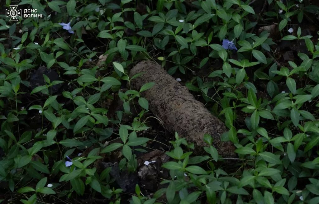 У Володимирському районі сапери розміновують територію лісу від вибухонебезпечних предметів 4