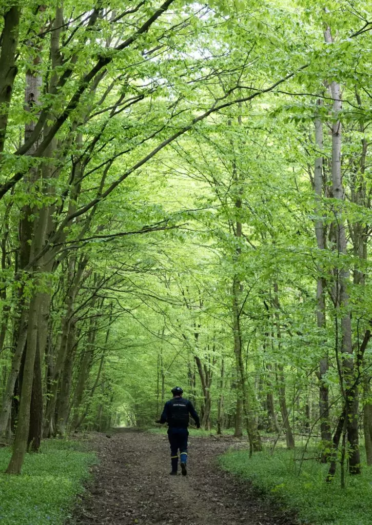У Володимирському районі сапери розміновують територію лісу від вибухонебезпечних предметів 6
