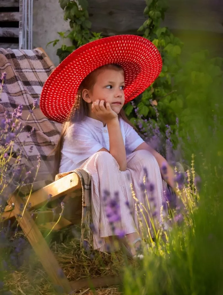 Родина Зізяв біля Нововолинська створила лавандовий двір, щоб відволікатись від переживань за сином, який був на війні 2