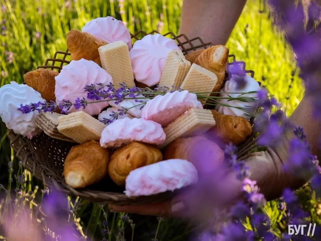 Родина Зізяв біля Нововолинська створила лавандовий двір, щоб відволікатись від переживань за сином, який був на війні 7