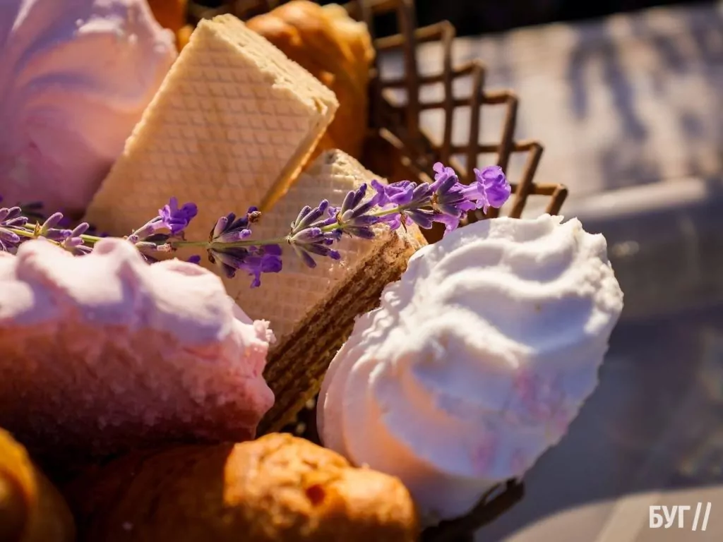 Родина Зізяв біля Нововолинська створила лавандовий двір, щоб відволікатись від переживань за сином, який був на війні 15