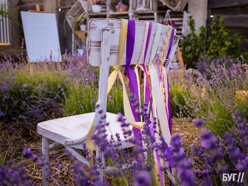 Родина Зізяв біля Нововолинська створила лавандовий двір, щоб відволікатись від переживань за сином, який був на війні 20