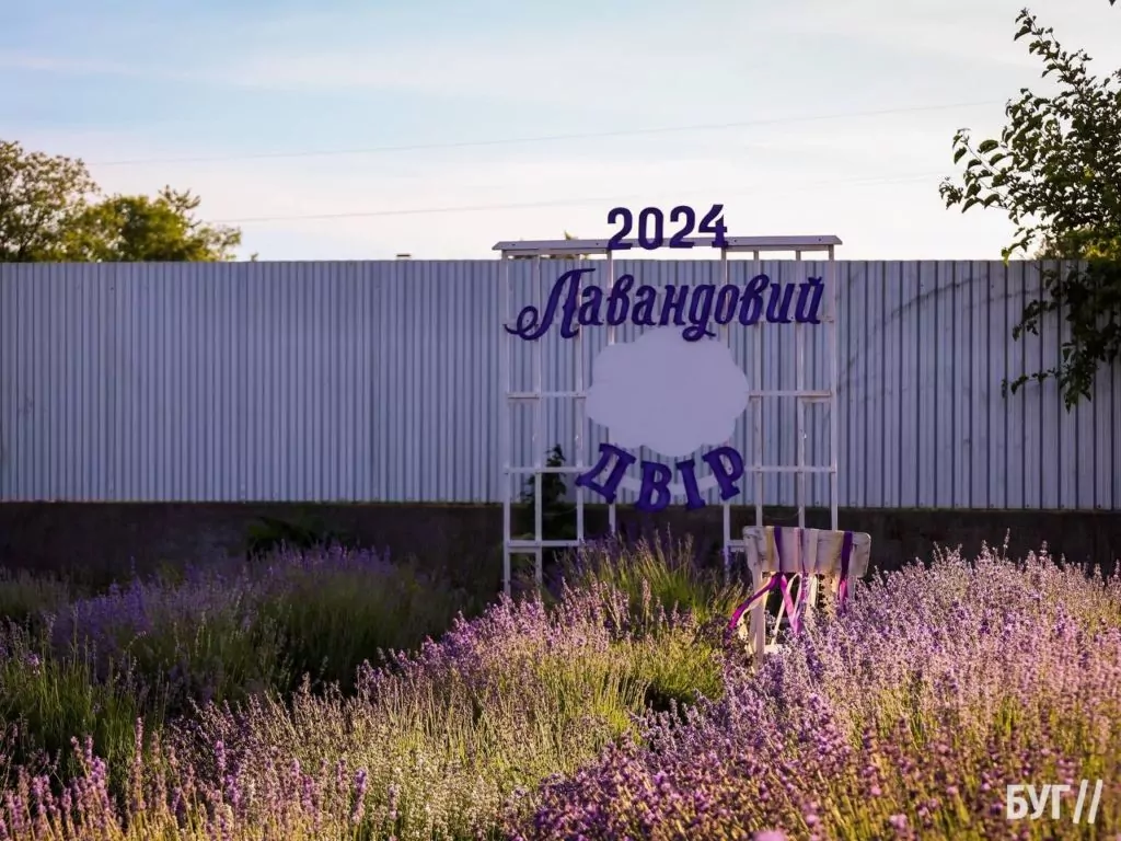 Родина Зізяв біля Нововолинська створила лавандовий двір, щоб відволікатись від переживань за сином, який був на війні 25