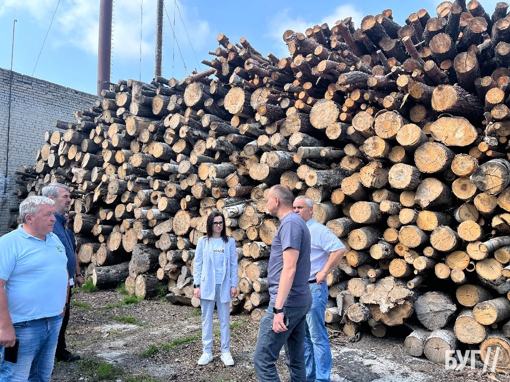 Генератори, заготівля дров, ремонти на котельнях: у Володимирі готові до зими на 80% 7