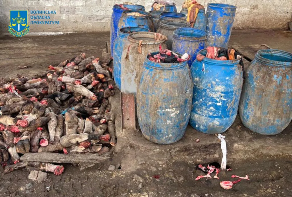 У Луцькому районі виявили нелегальну бійню: слідчі з'ясовують наслідки для екології 3
