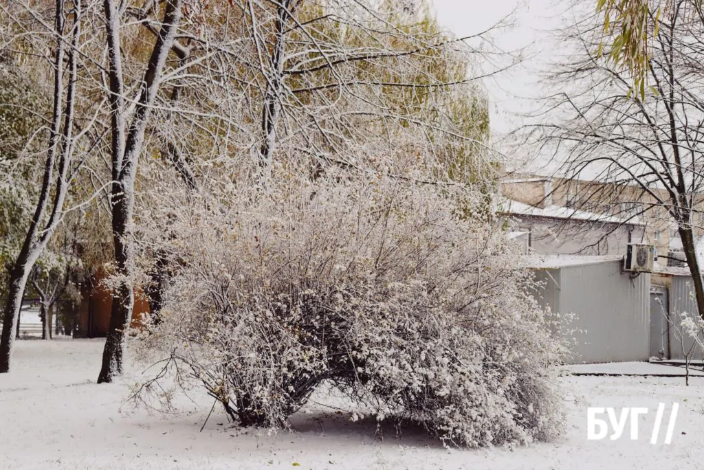 Місто буденне: у Володимирі випав сніг і тимчасово перетворив місто на «зимову казку» 12