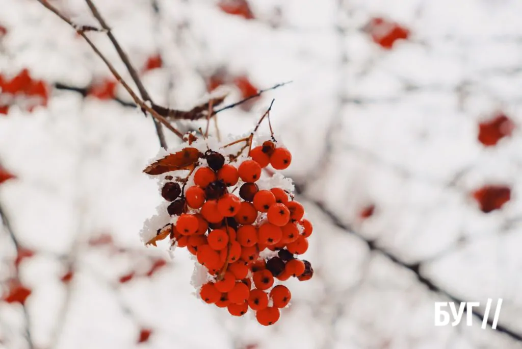 Місто буденне: у Володимирі випав сніг і тимчасово перетворив місто на «зимову казку» 22
