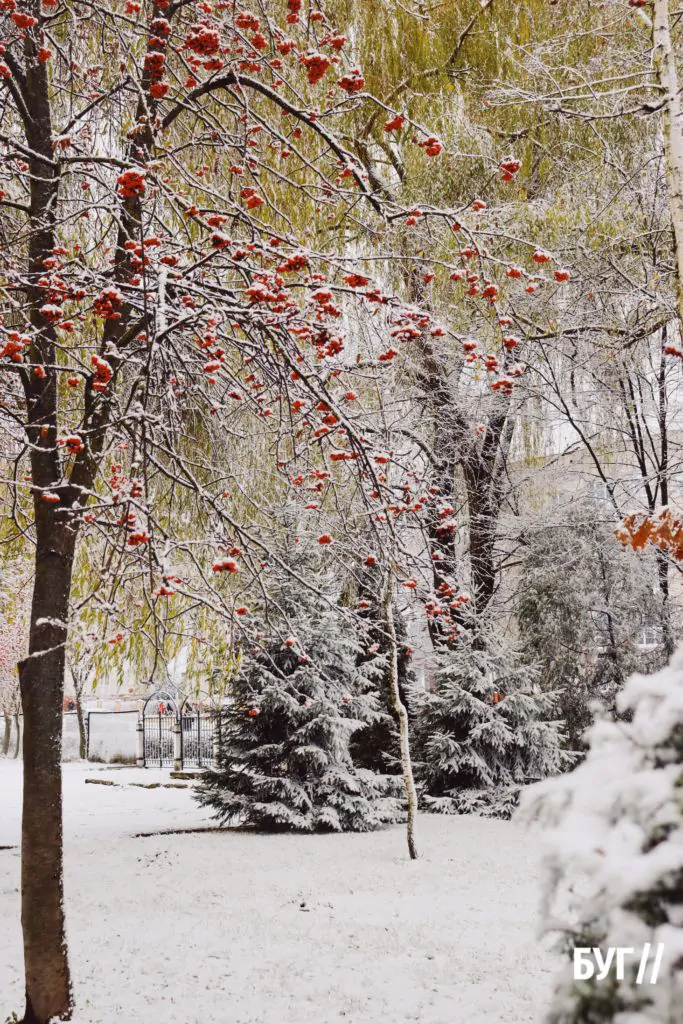 Місто буденне: у Володимирі випав сніг і тимчасово перетворив місто на «зимову казку» 21