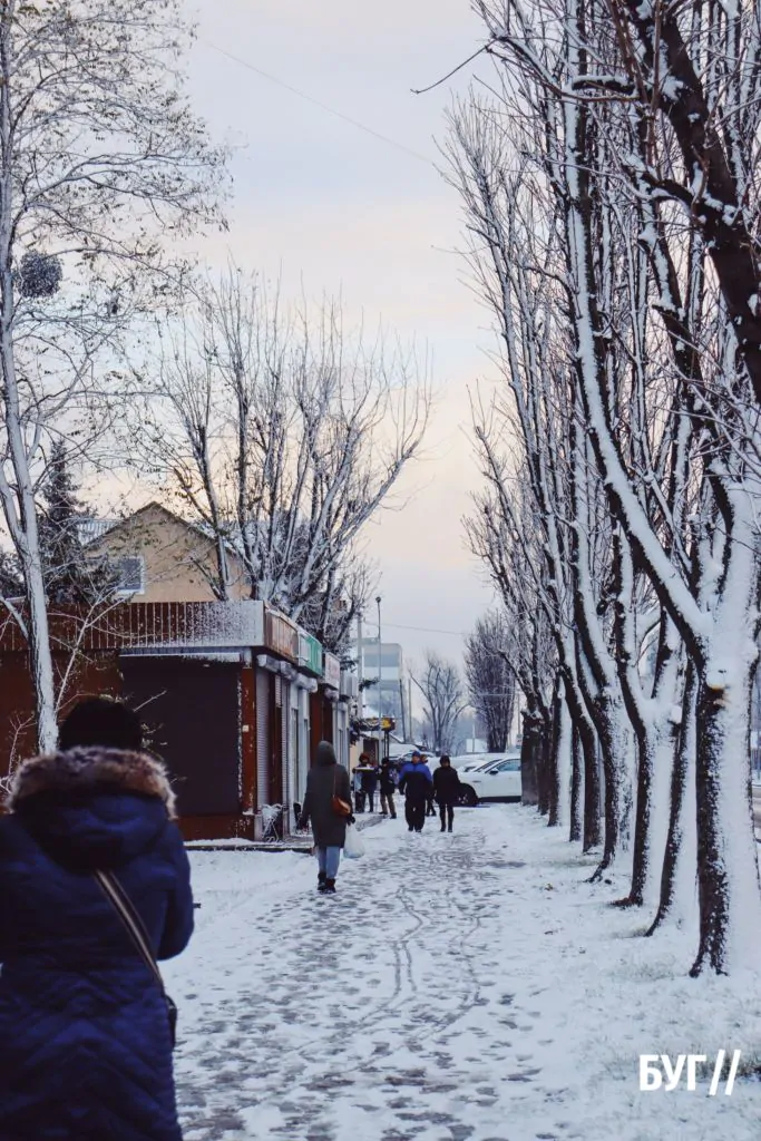 Місто буденне: у Володимирі випав сніг і тимчасово перетворив місто на «зимову казку» 23