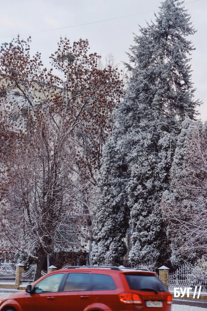 Місто буденне: у Володимирі випав сніг і тимчасово перетворив місто на «зимову казку» 9