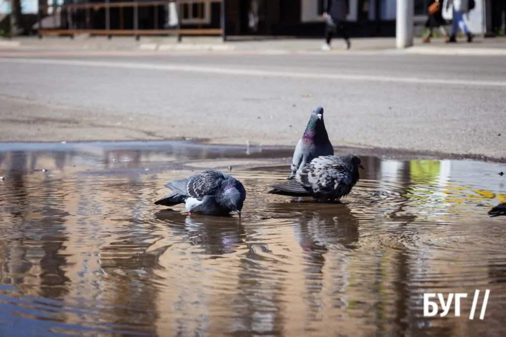 Місто буденне: квітневий Нововолинськ у сонячну пору 19